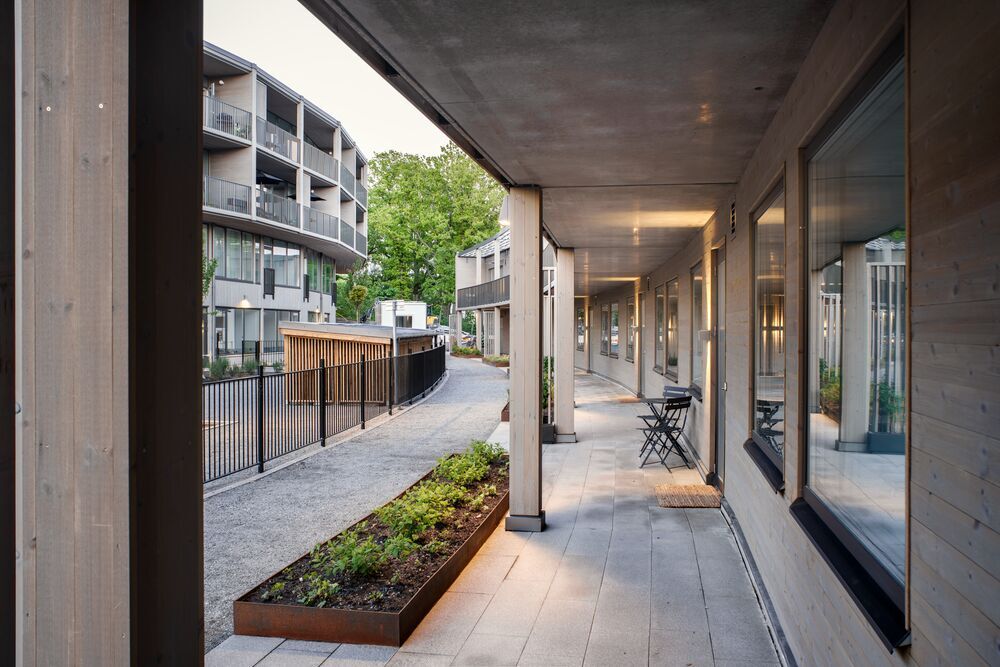 bvg20-1-preview